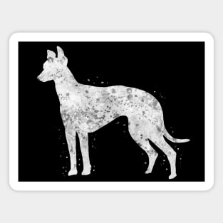 Greyhound dog Magnet